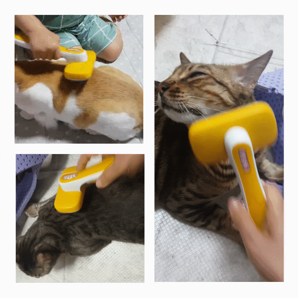 c97fb1e9a27e6.gif