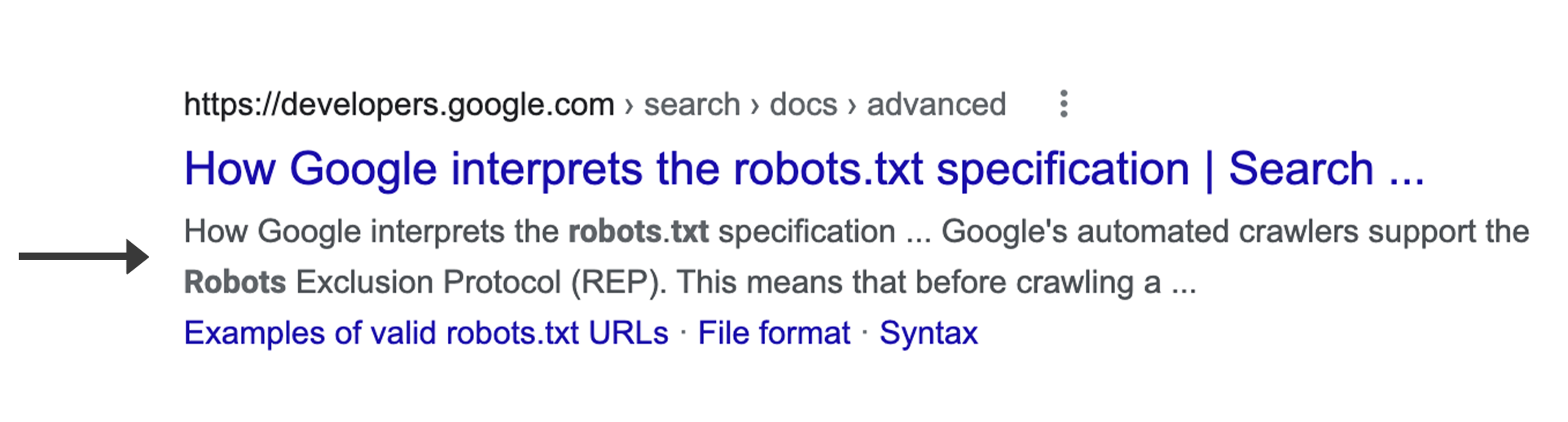 Google 검색의 웹 검색결과에 표시되는 스니펫