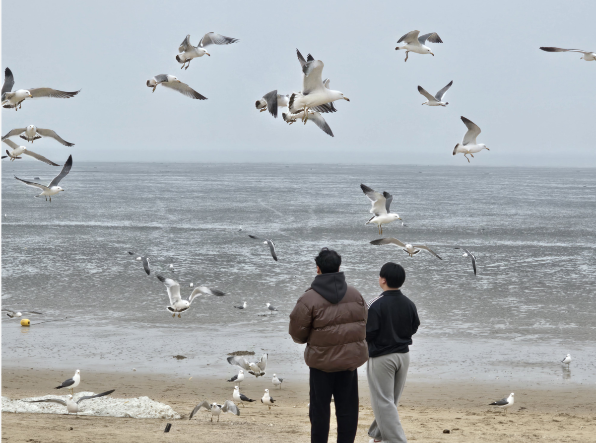 21e51554e623f.png