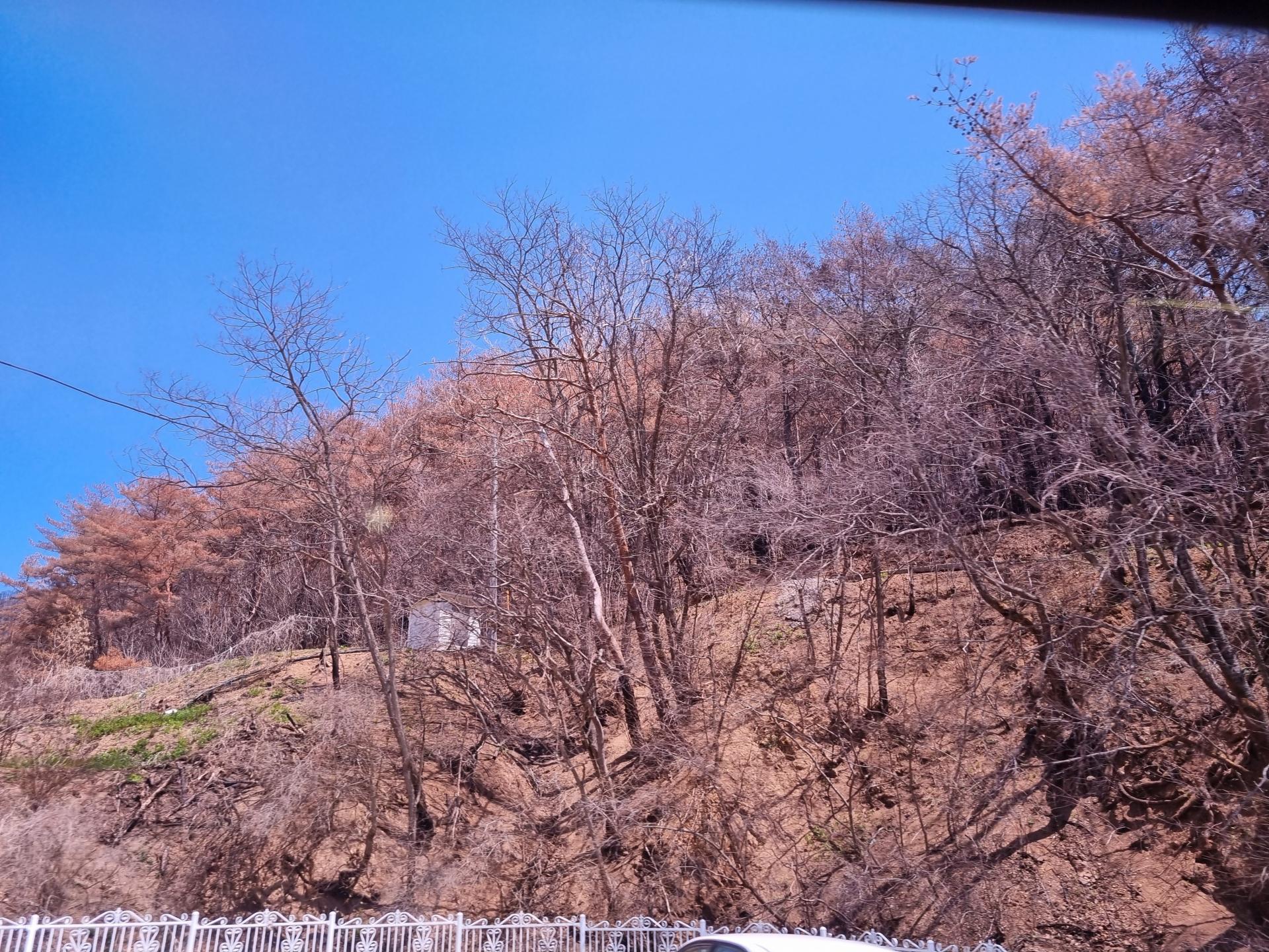 6f16655e460e6.jpg