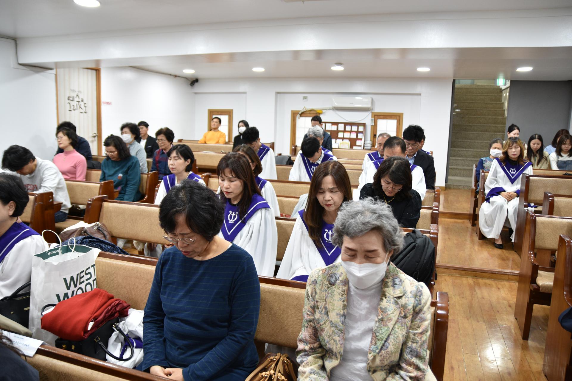 bd95833158db1.jpg