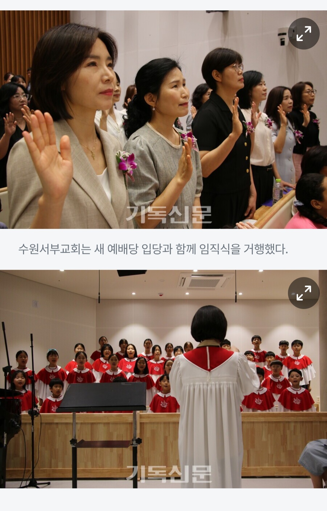 c9a49626fa0ed.jpg