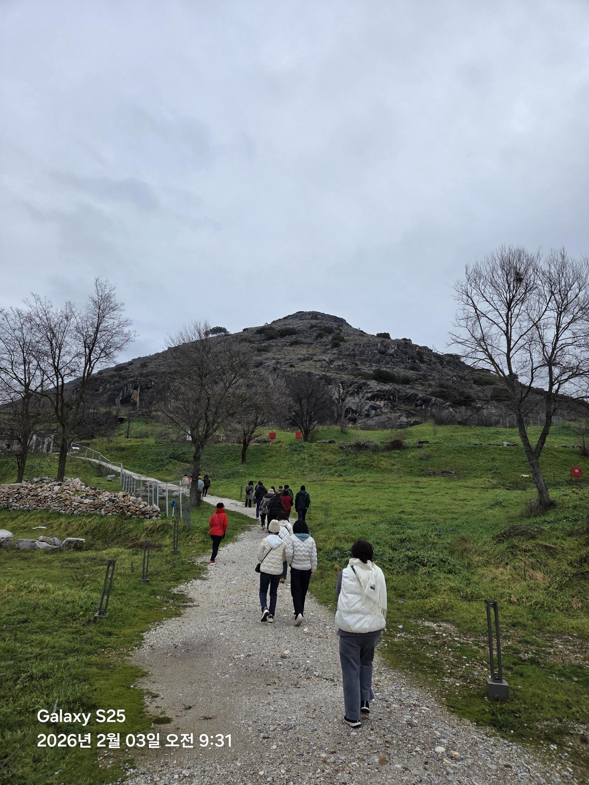 d85685b1d164f.jpg