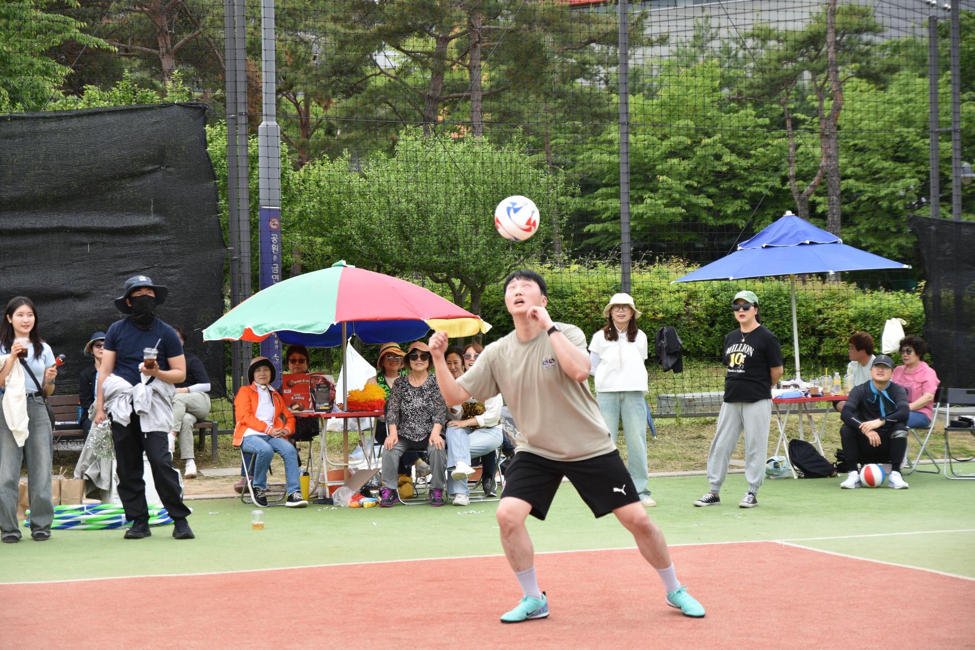 d9c4802384c88.jpg