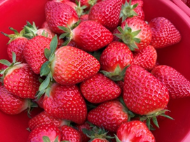 05095a847ce2f.png