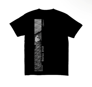 41b3d14d05486.png
