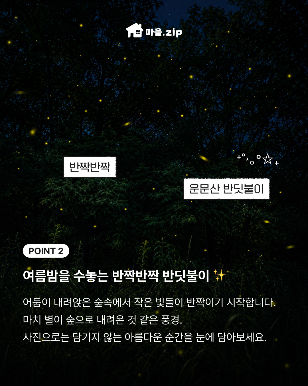 8a45fd68b884b.jpg