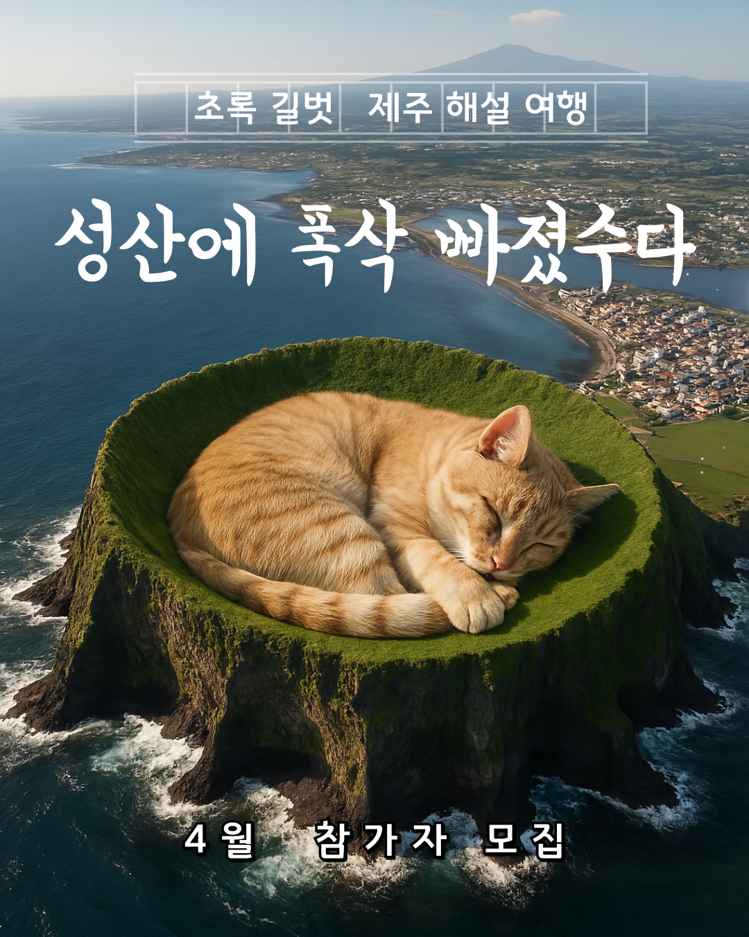 e5c19d96590e3.png