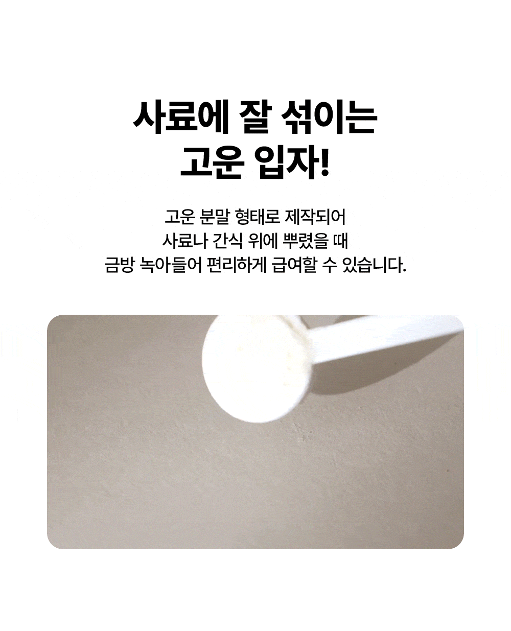 [피부개선&장건강] 프로바이오틱스 S