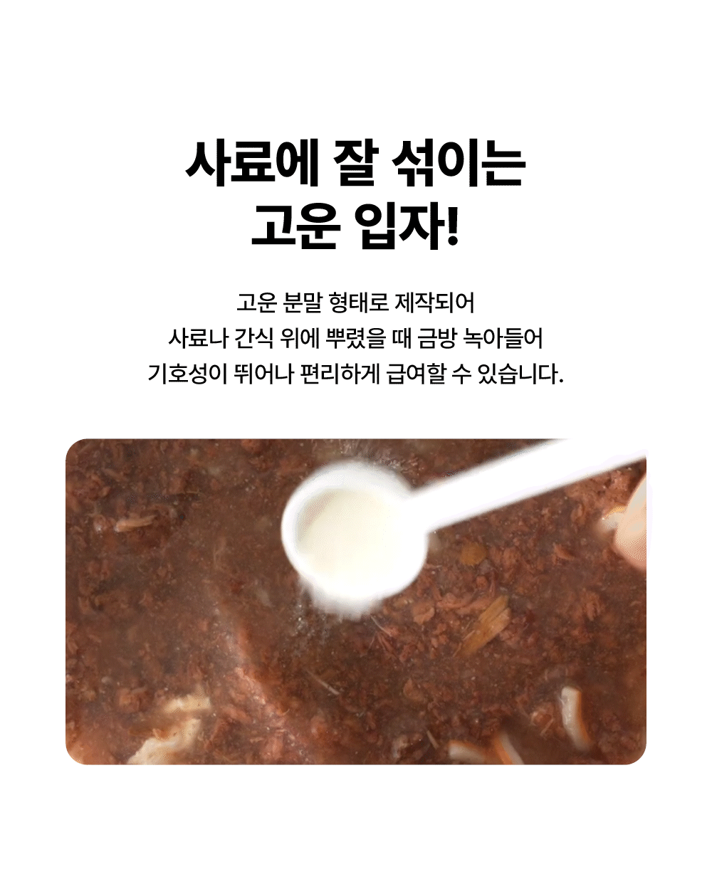 [면역력&장 건강] 프로바이오틱스 원 캣 30g