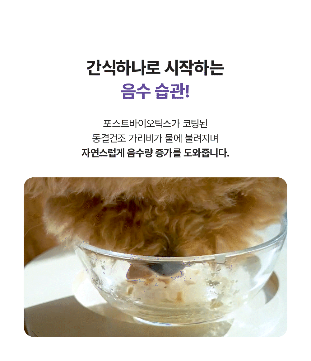 포스티 크런치 가리비