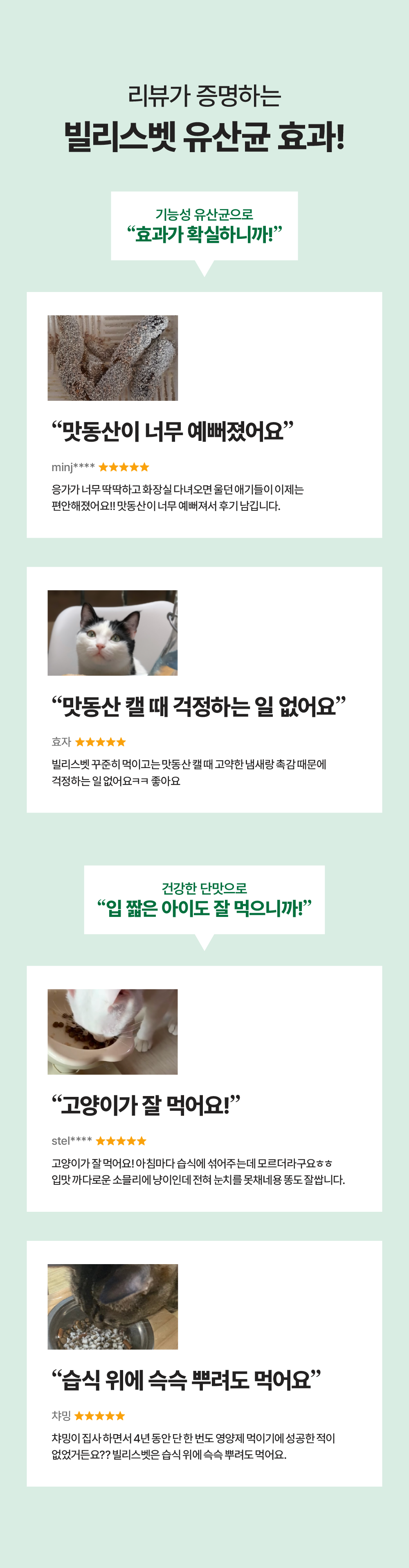 [면역력&장 건강] 프로바이오틱스 원 캣 30g