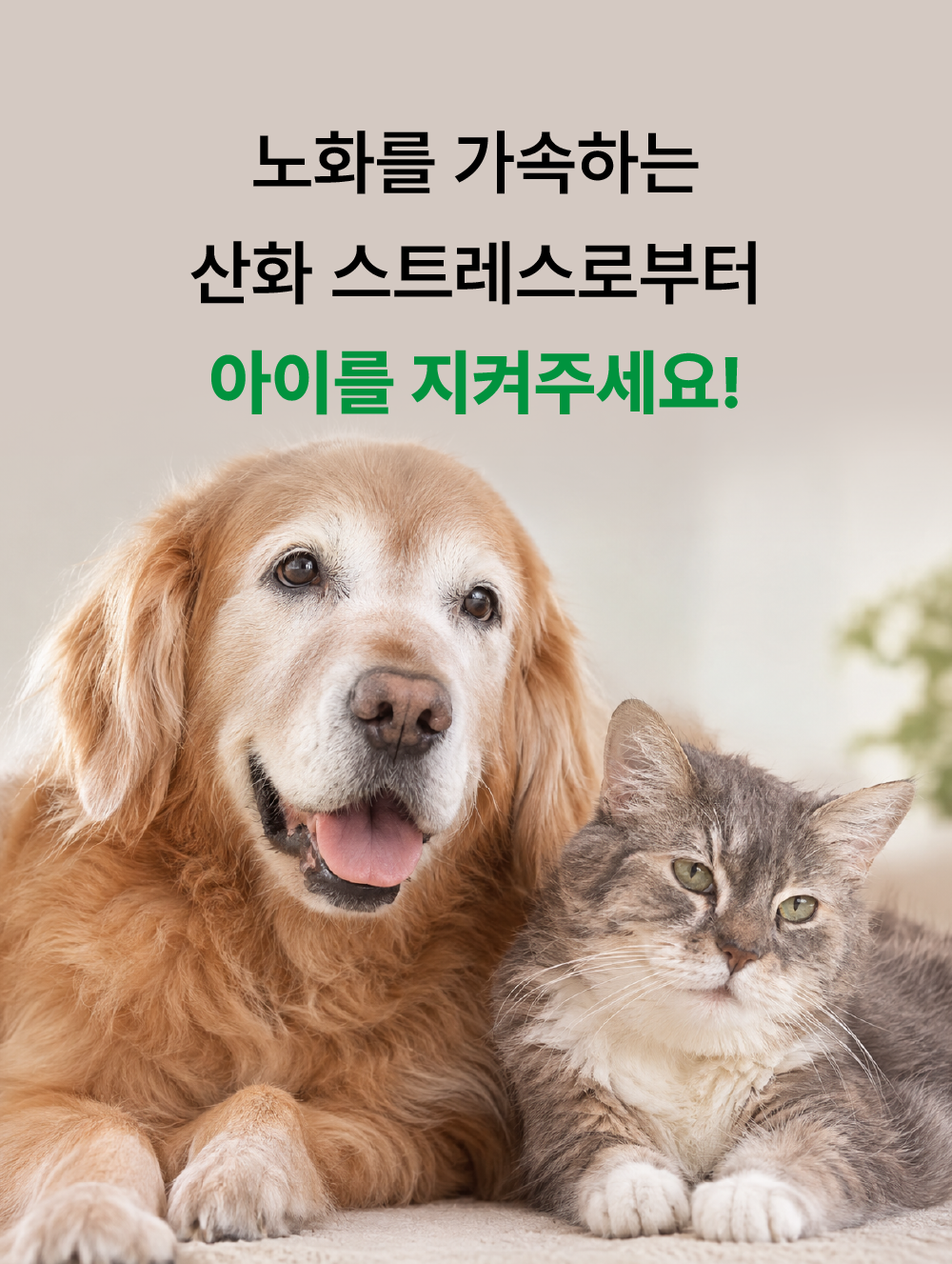 [항산화+눈 건강] 더블 시너지 90캡슐