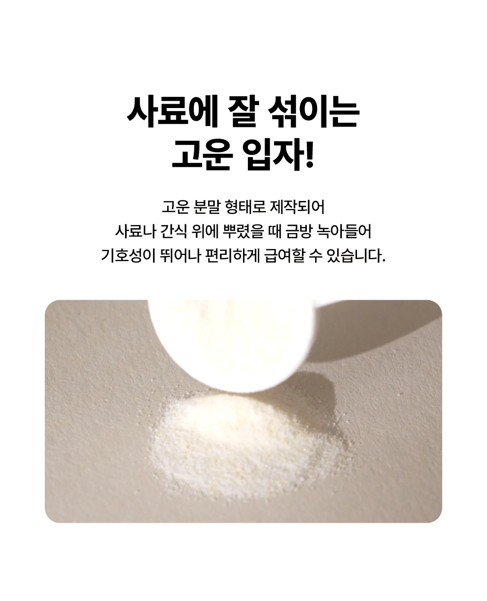 [체중조절&장건강] 프로바이오틱스 D