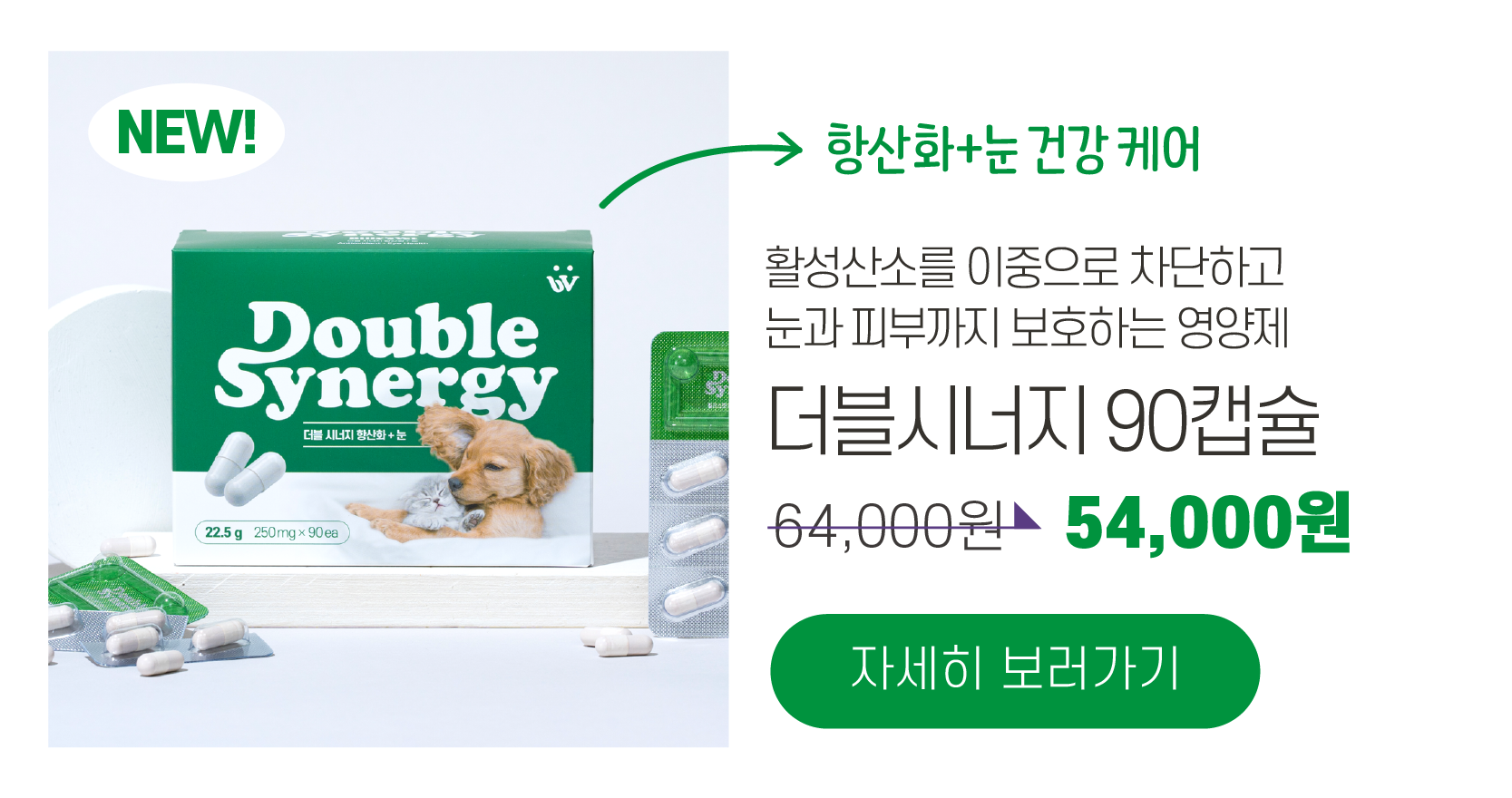 [춘봉9차공구] 빌리스벳 전제품 할인🎁