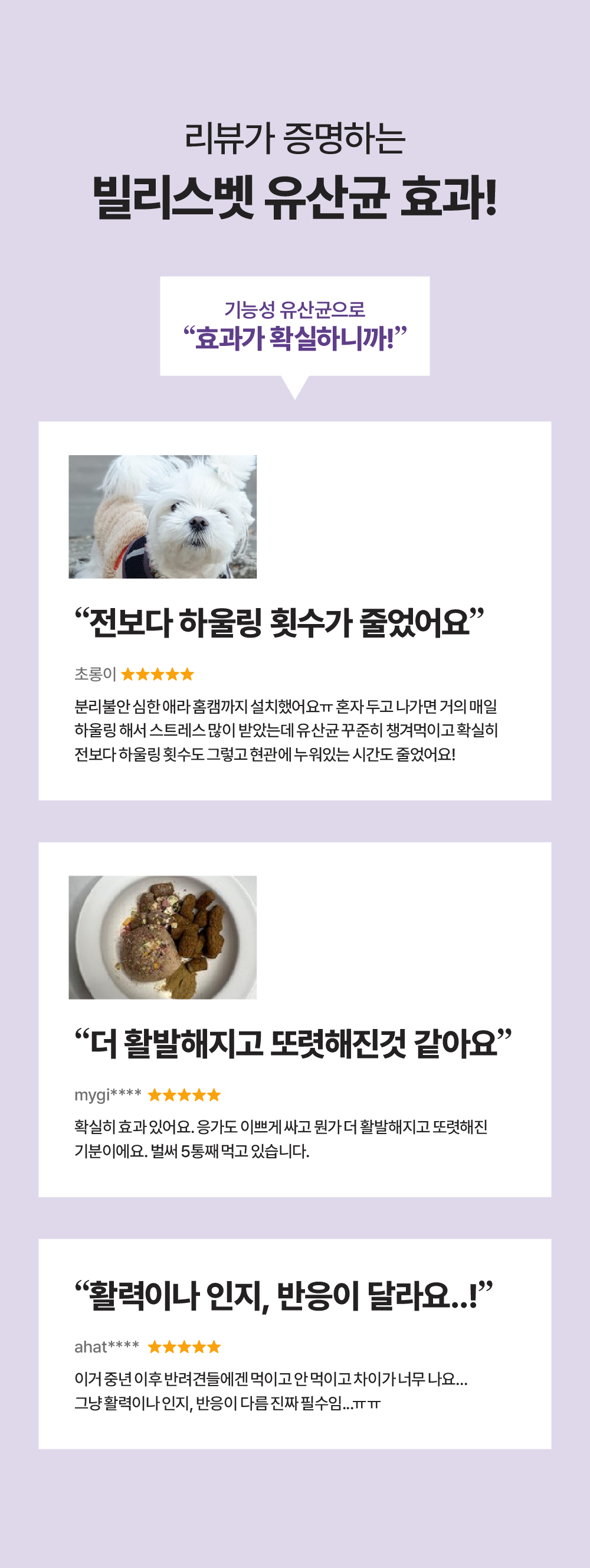 [뇌건강&장건강] 프로바이오틱스 C
