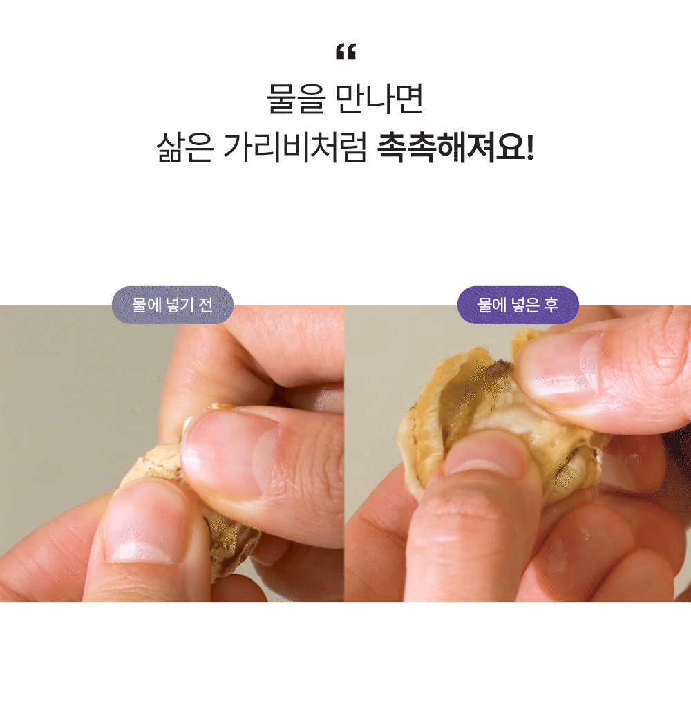 포스티 크런치 가리비