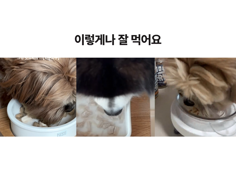포스티 크런치 포크