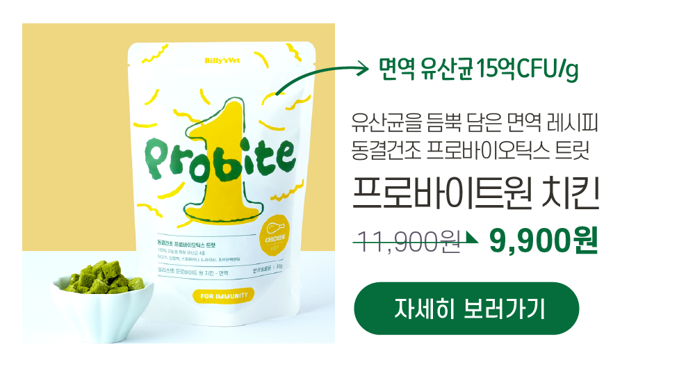 [라떼X빌리스벳] 프로바이츄덴탈 9차 공구✨