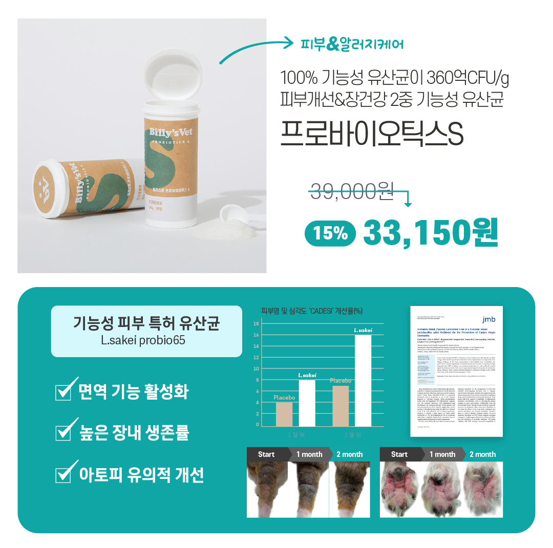 [라떼X빌리스벳] 프로바이츄덴탈 9차 공구✨