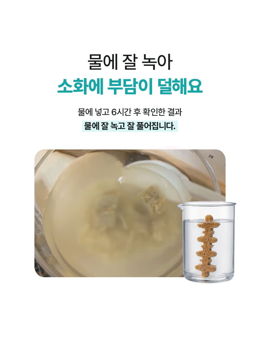 프로바이츄 덴탈 오리지널