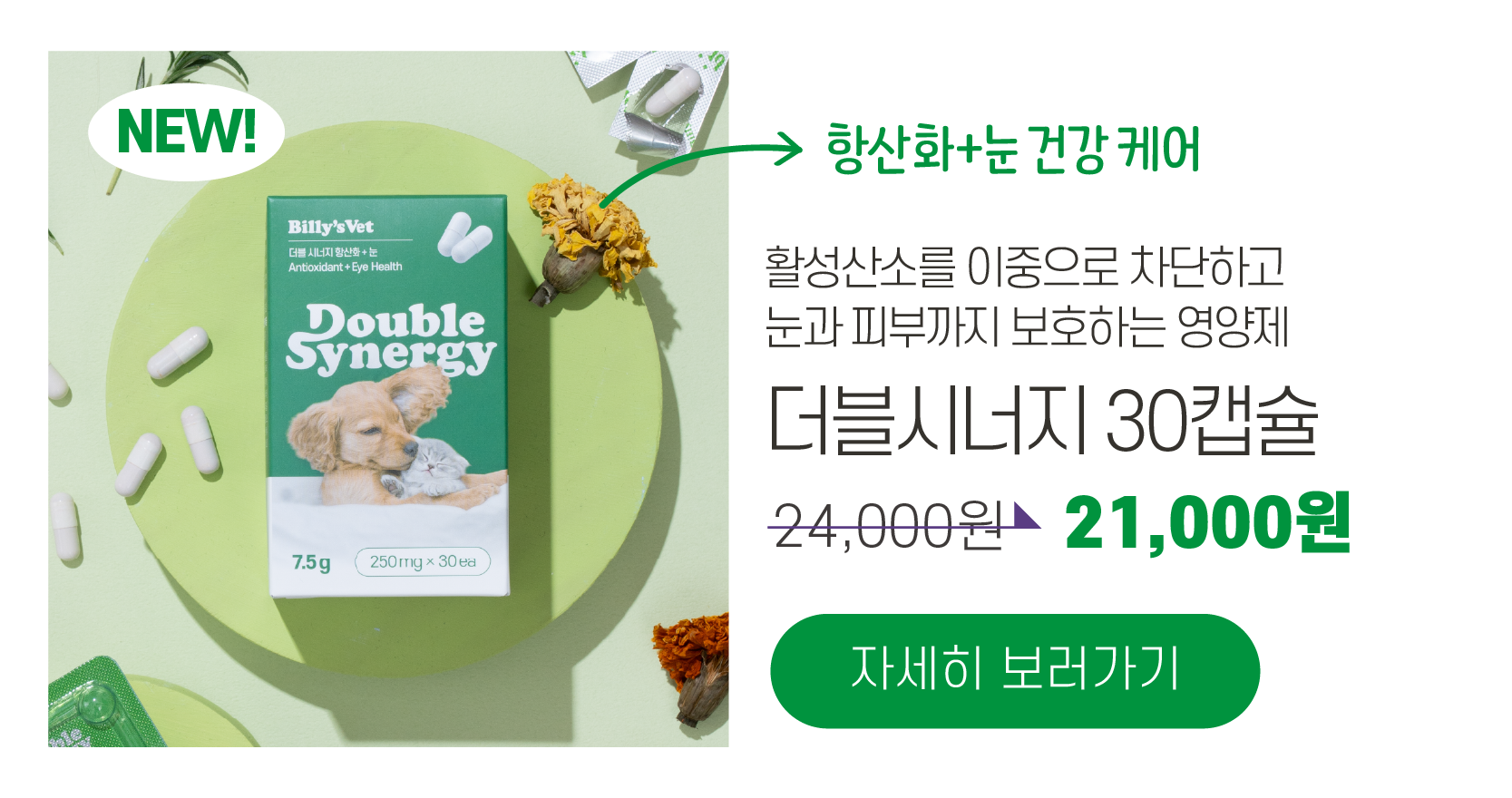 [춘봉9차공구] 빌리스벳 전제품 할인🎁
