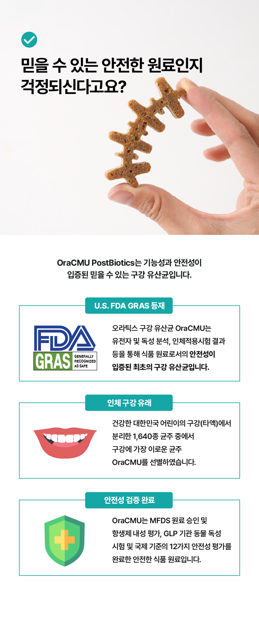 프로바이츄 덴탈 오리지널