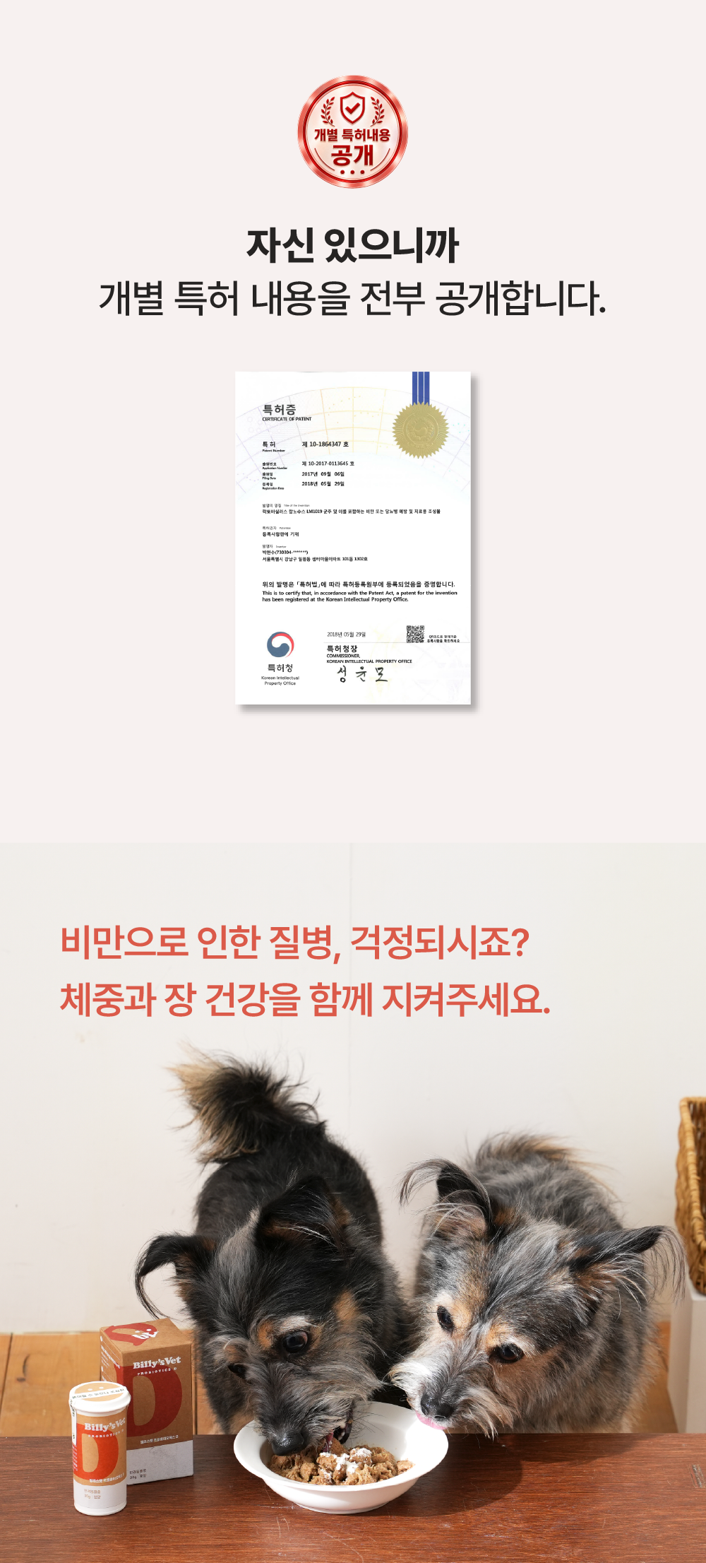 [체중조절&장건강] 프로바이오틱스 D