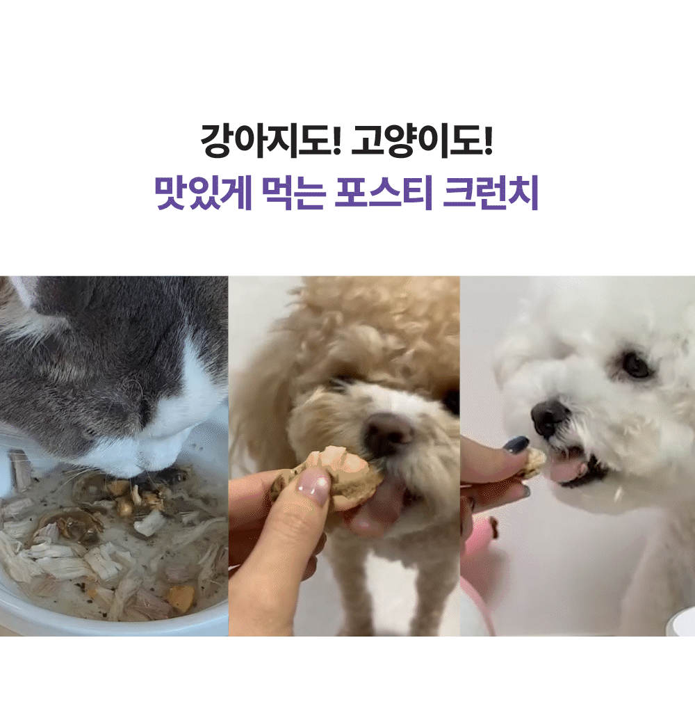 포스티 크런치 가리비