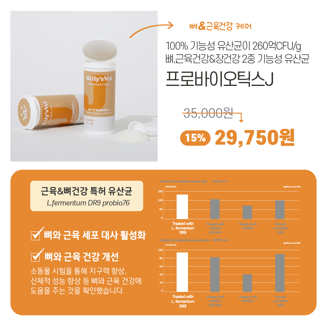 [라떼X빌리스벳] 프로바이츄덴탈 9차 공구✨