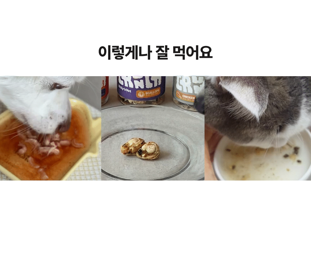 포스티 크런치 가리비