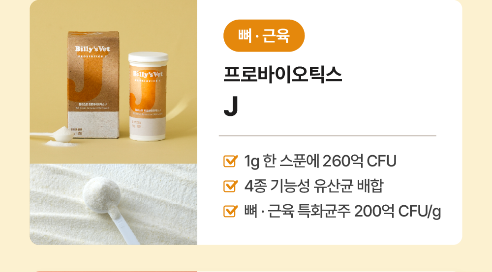 한살 관절 여든 간다set (프로바이오틱스J+프로바이트J)
