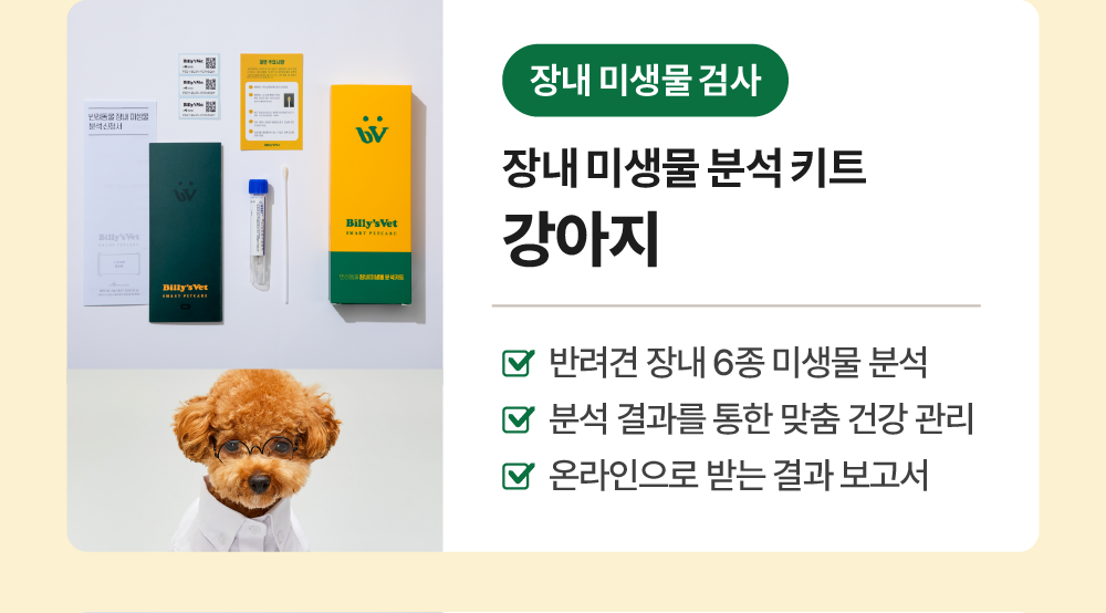 장내 미생물 분석키트 & 프로바이오틱스 S