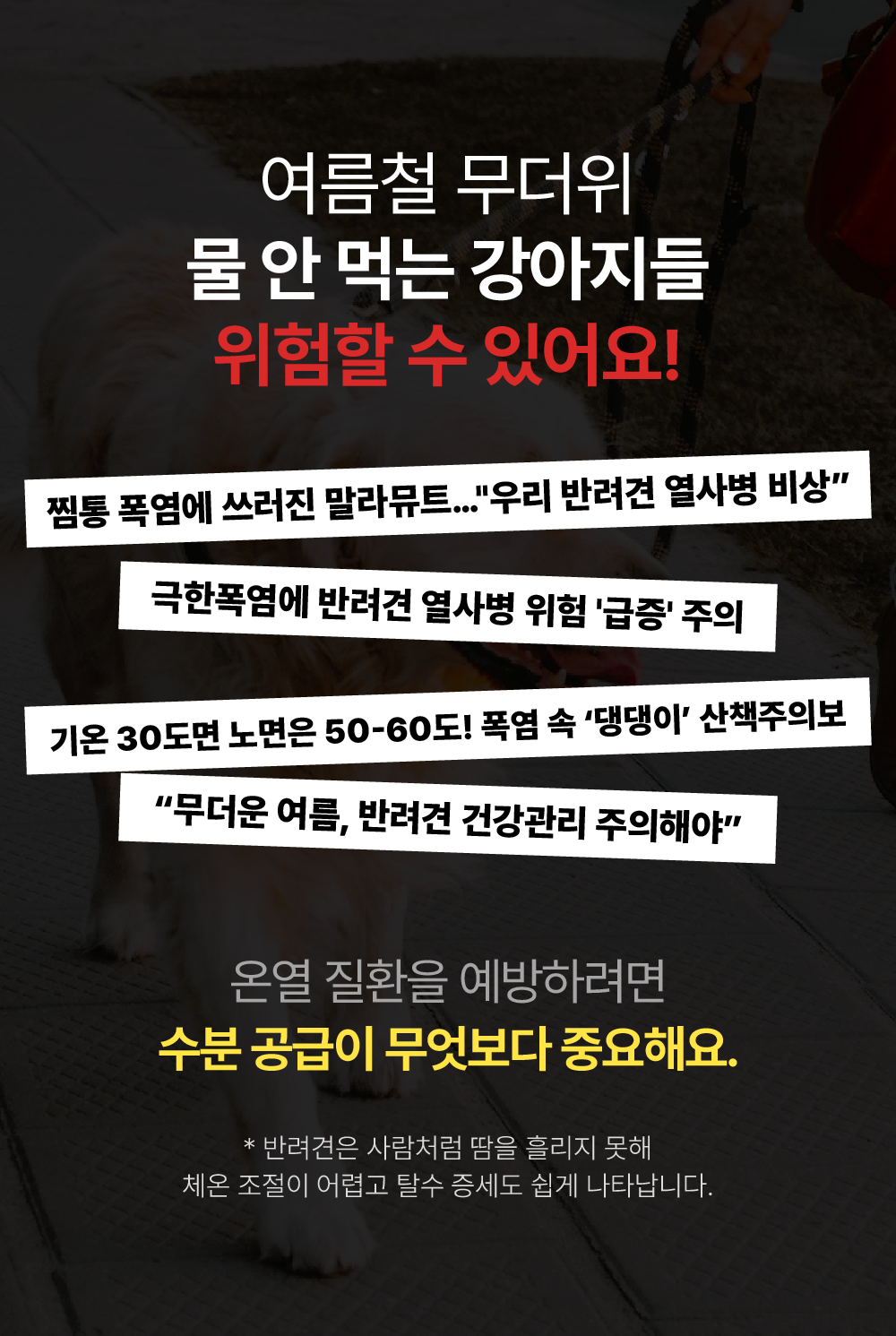 포스티 크런치 포크