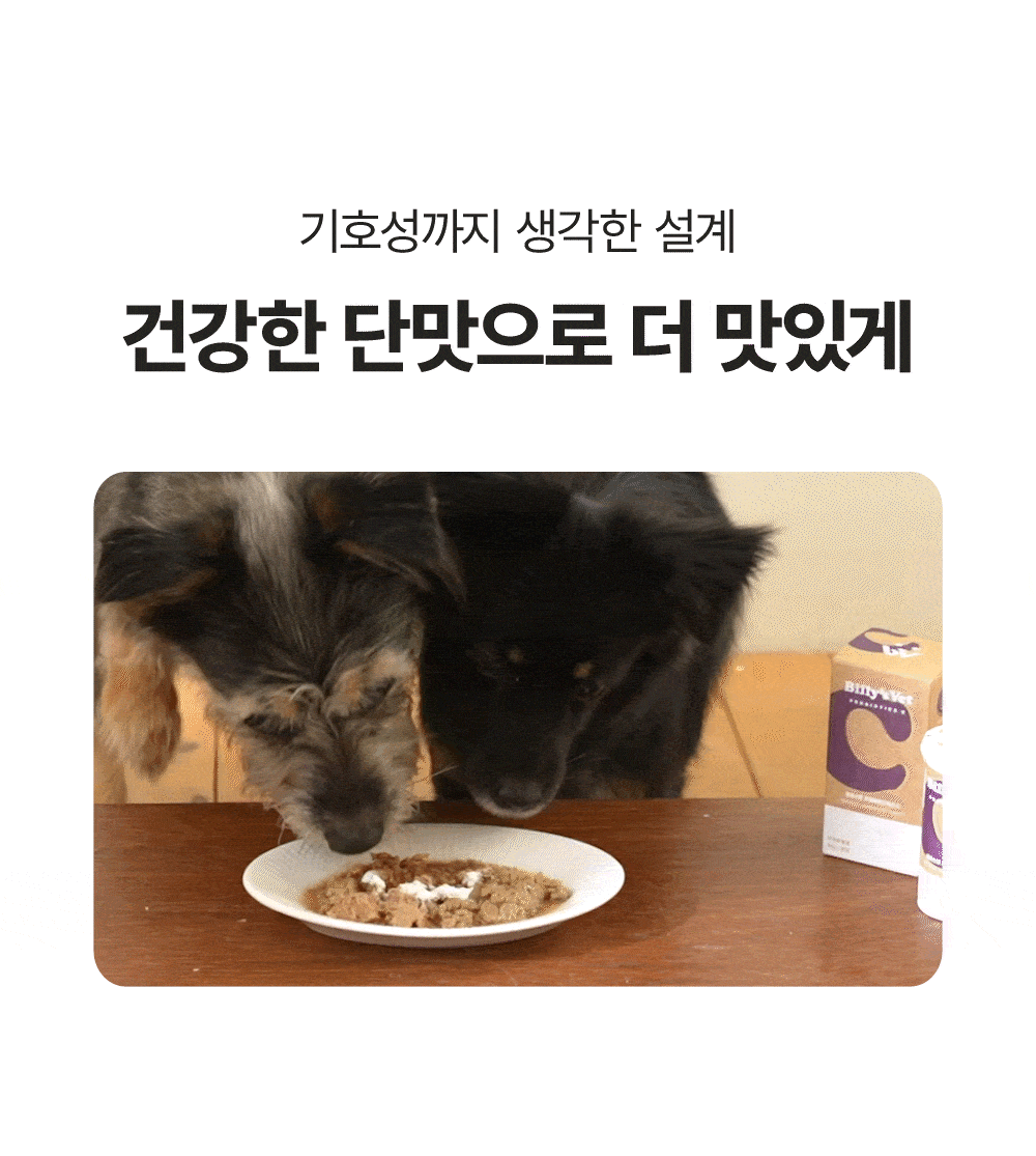 [뇌건강&장건강] 프로바이오틱스 C