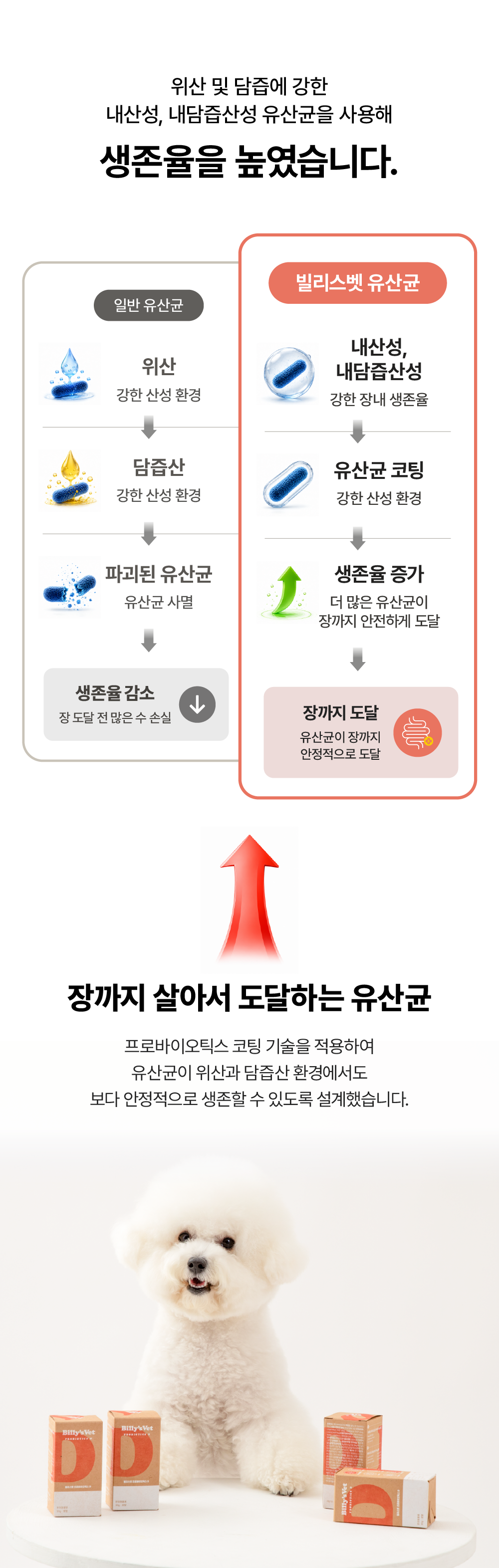 [체중조절&장건강] 프로바이오틱스 D