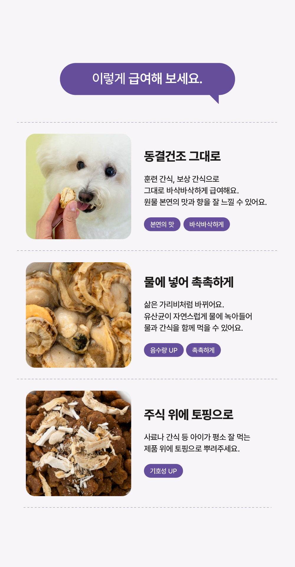 포스티 크런치 가리비