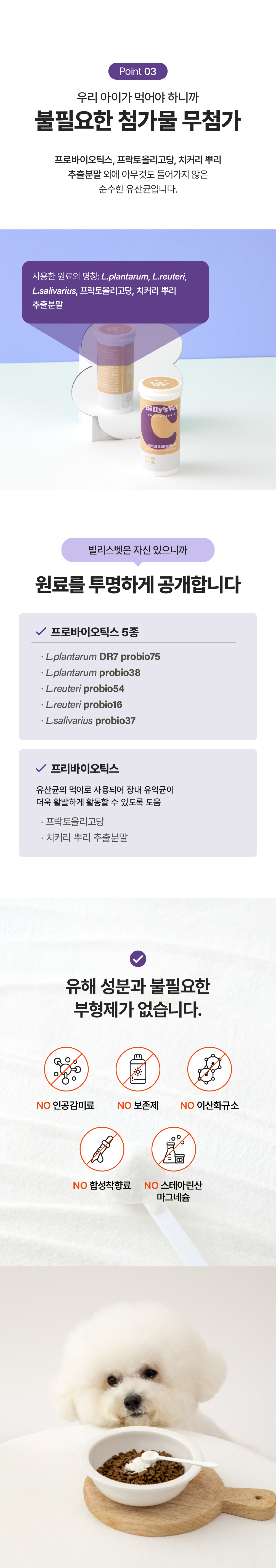 [뇌건강&장건강] 프로바이오틱스 C