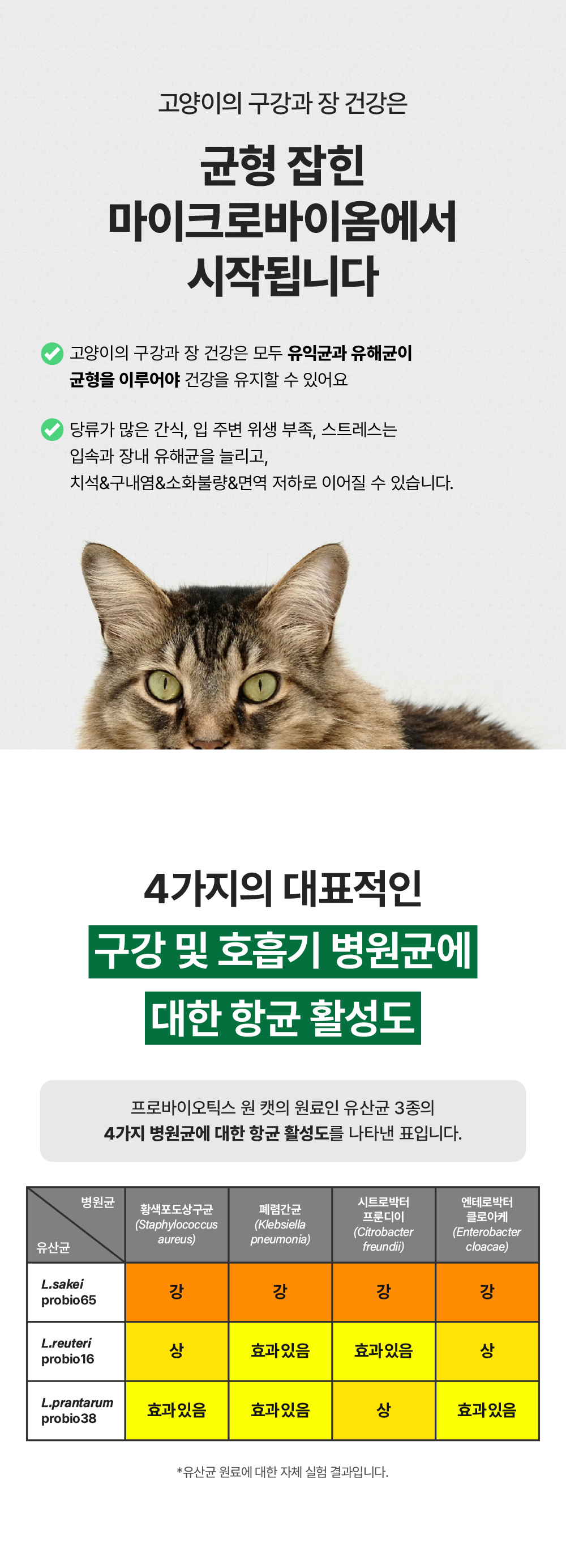 [면역력&장 건강] 프로바이오틱스 원 캣 30g