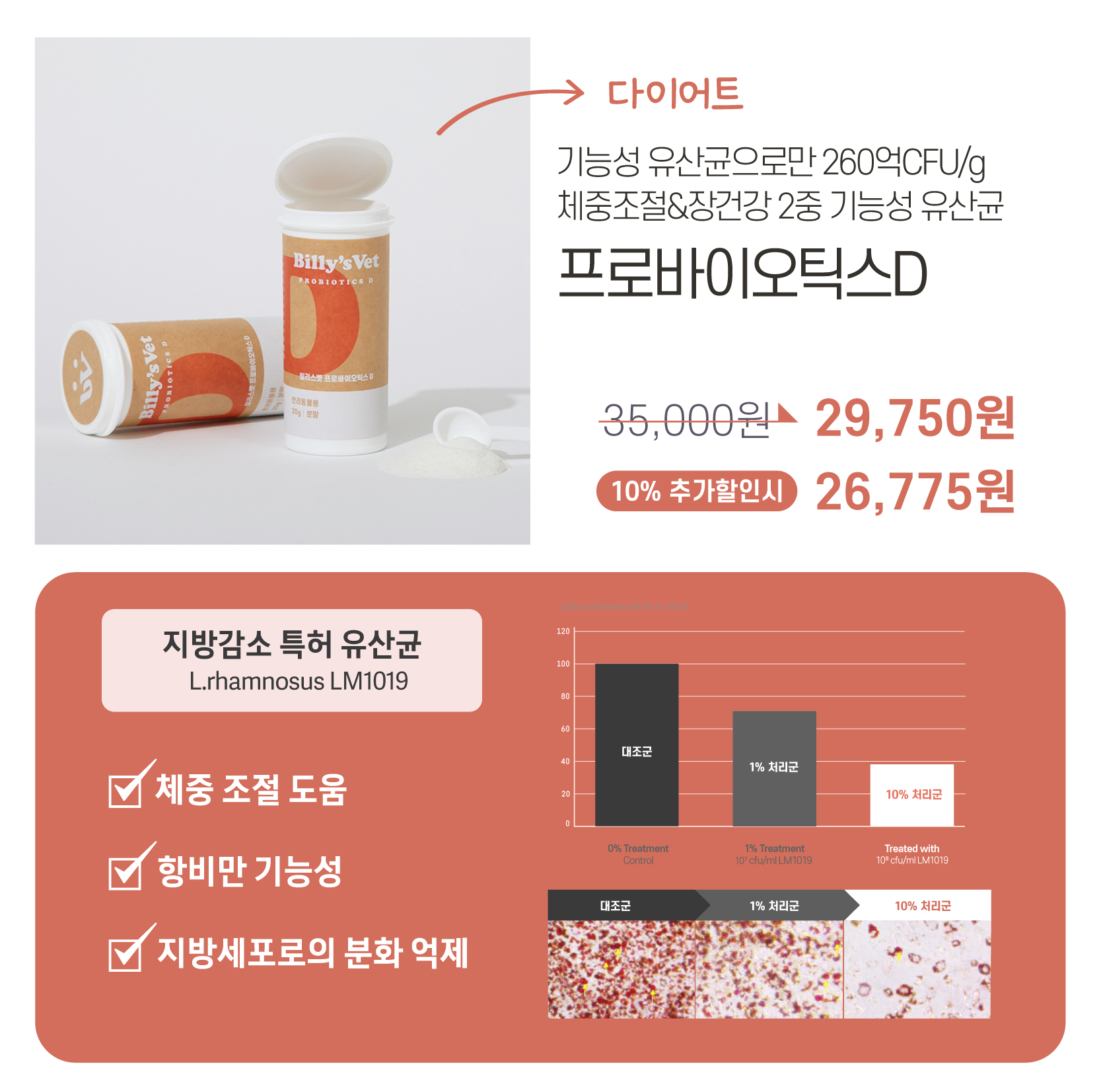 [춘봉9차공구] 빌리스벳 전제품 할인🎁