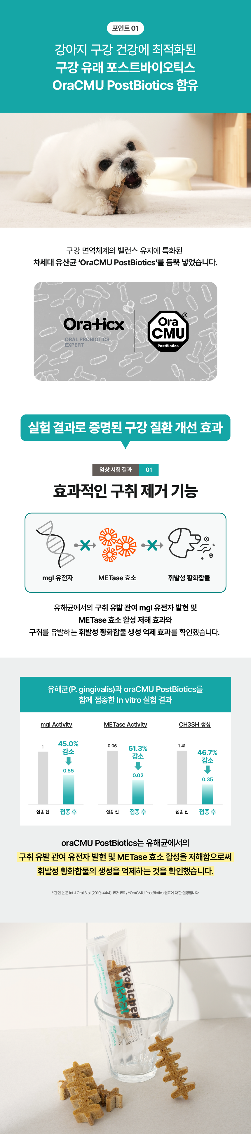 프로바이츄 덴탈 오리지널
