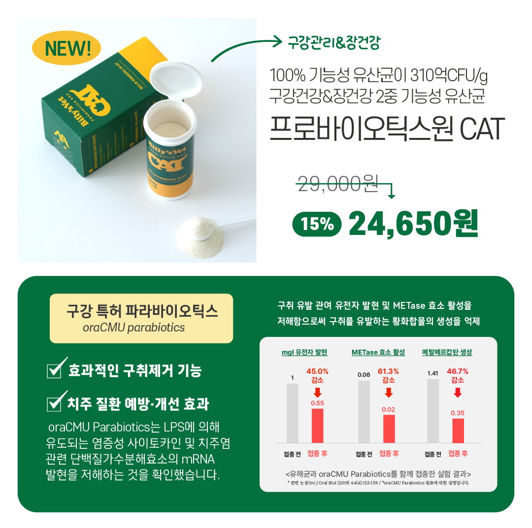 [라떼X빌리스벳] 프로바이츄덴탈 9차 공구✨