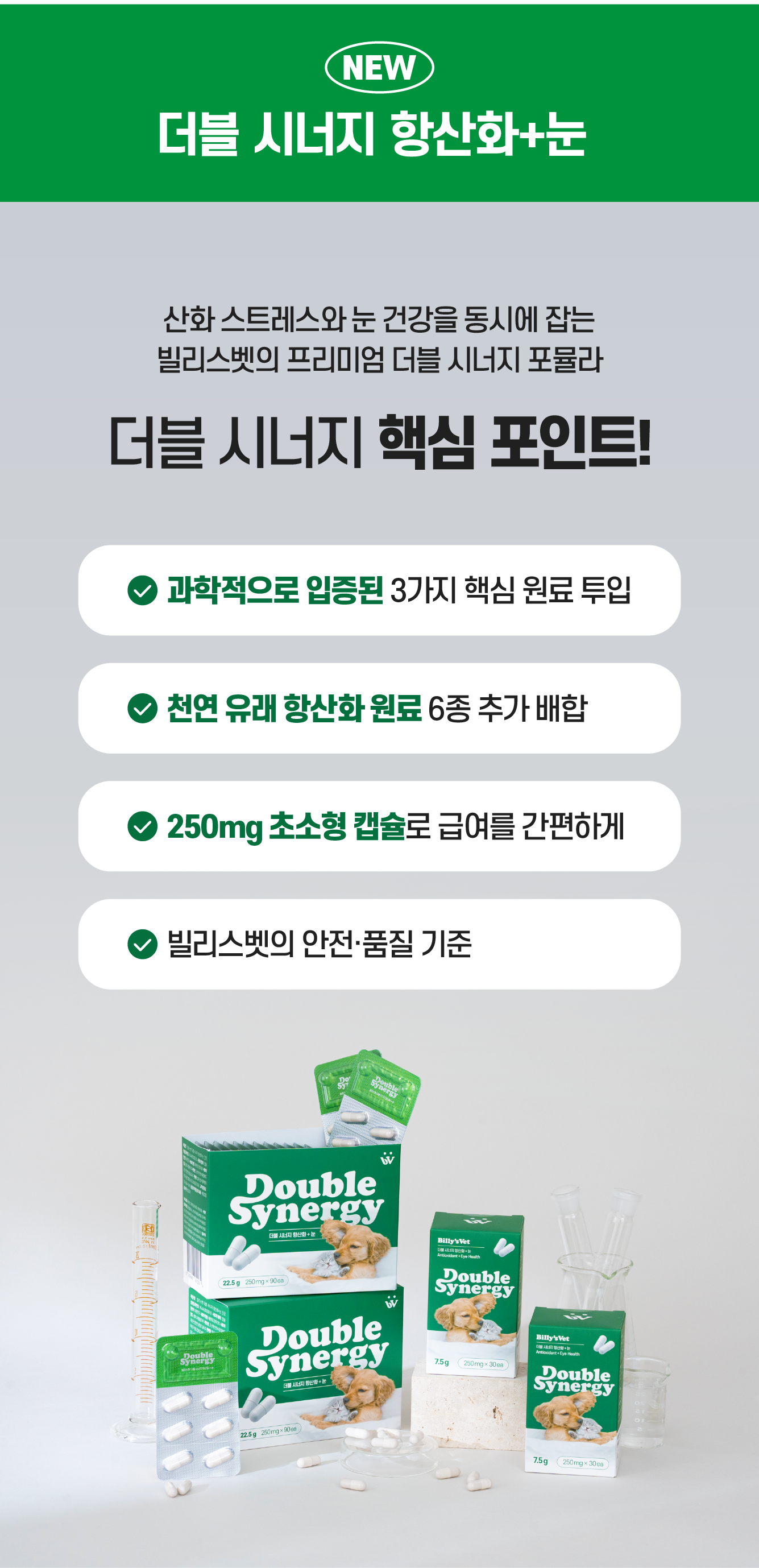 [춘봉9차공구] 빌리스벳 전제품 할인🎁