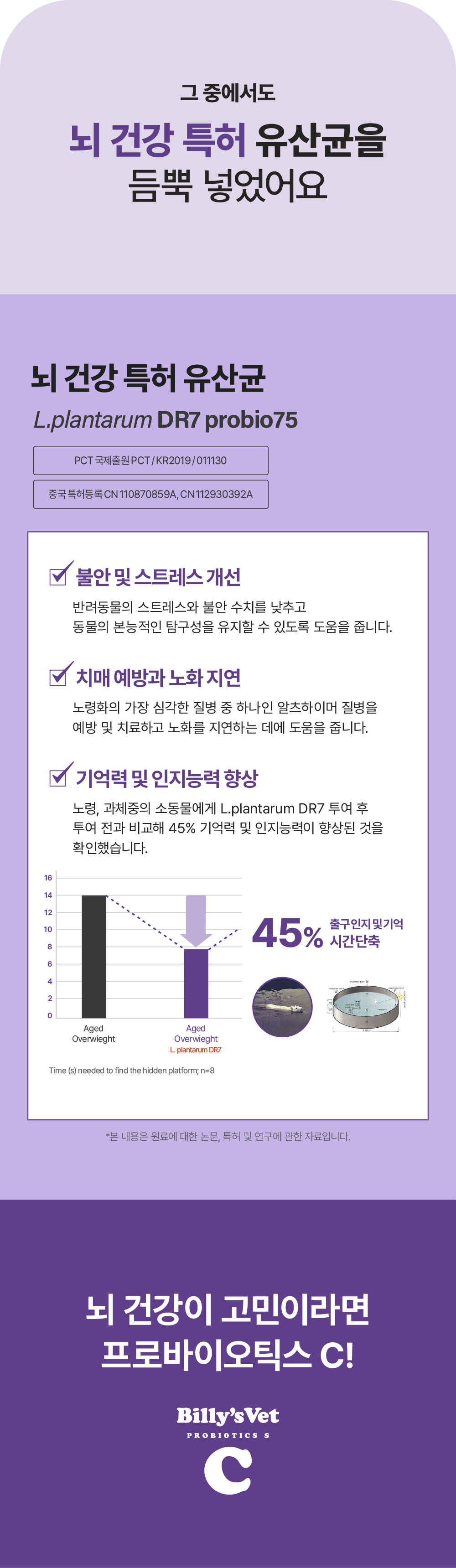 [뇌건강&장건강] 프로바이오틱스 C