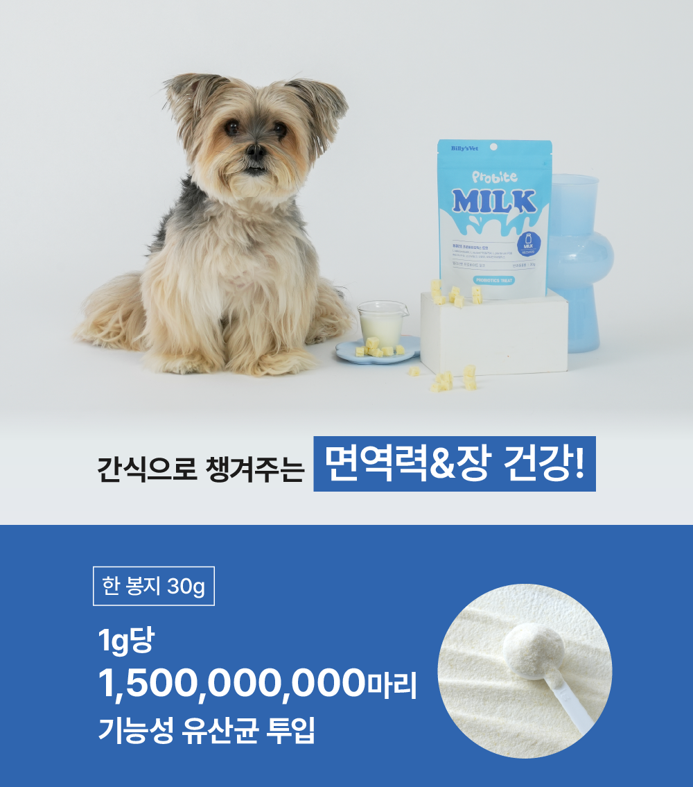 면역강화 프로바이트 밀크