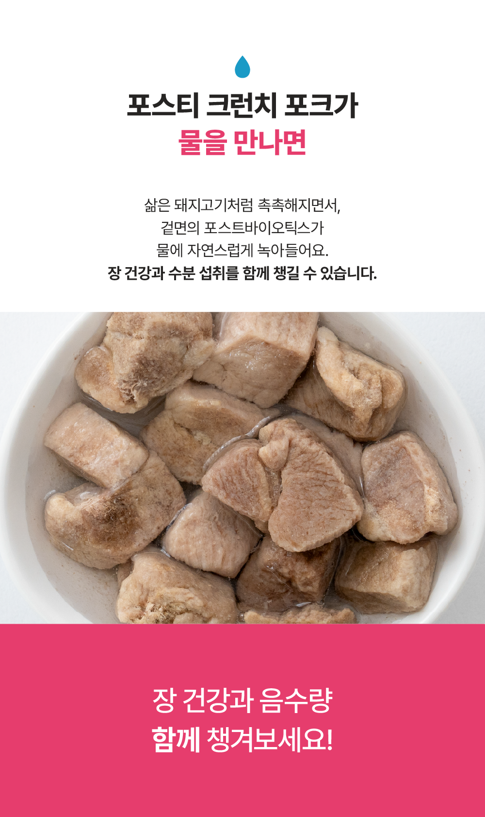 포스티 크런치 포크