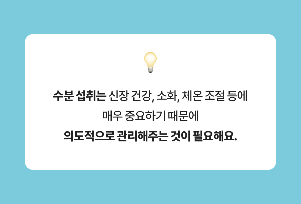 포스티 크런치 포크