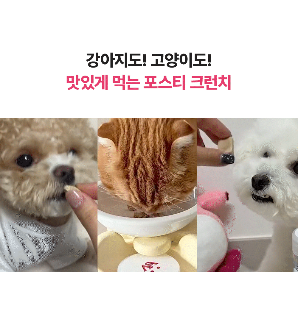 포스티 크런치 포크