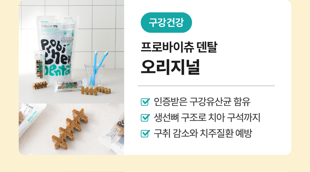 프로바이츄 덴탈 3개 골라담기
