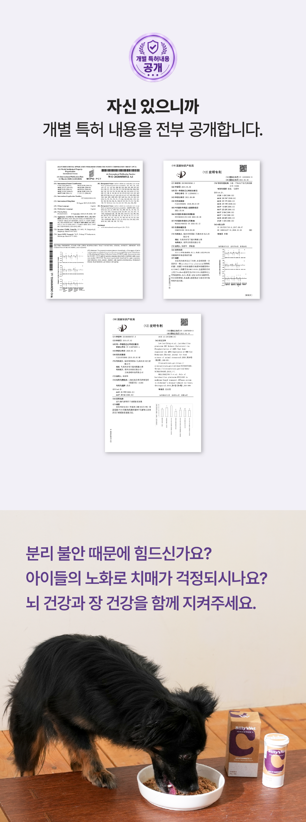 [뇌건강&장건강] 프로바이오틱스 C